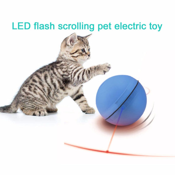 Electric Pet Ball LED Flash Rolling